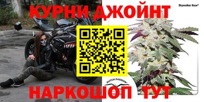 PSILOCYBIN Славгород