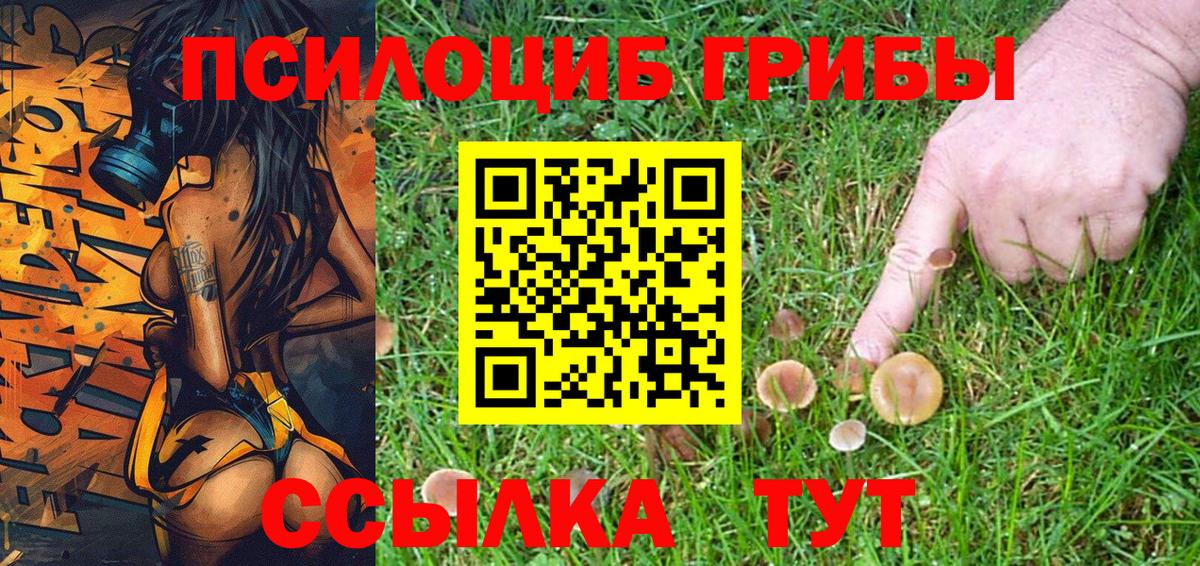 Орёл  Псилоцибиновые грибы Psilocybe  Вход с VPN 