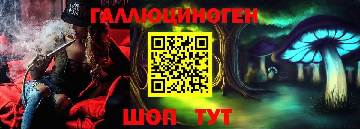 Галлюциногенные грибы Psilocybine cubensis Орёл
